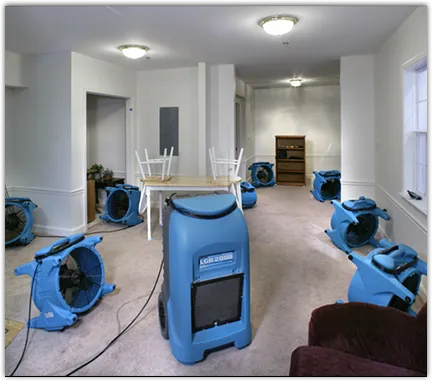 Mold Remediation & Removal in Del City, OK